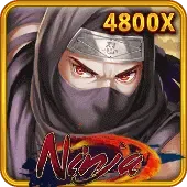 Ninja screenshot